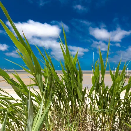 Wohnen Am Suedstrand - 0 6