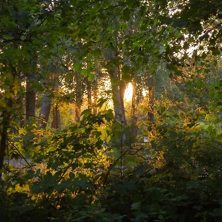 דירה Wohnen Am Suedstrand - 0 6